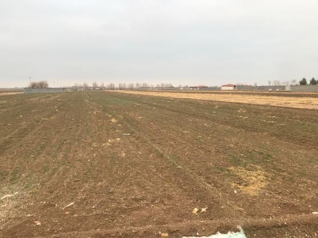 فروش ۱ هکتار درشیدان|فروش دفتر صنعتی، کشاورزی، تجاری|اصفهان, بهارستان|دیوار