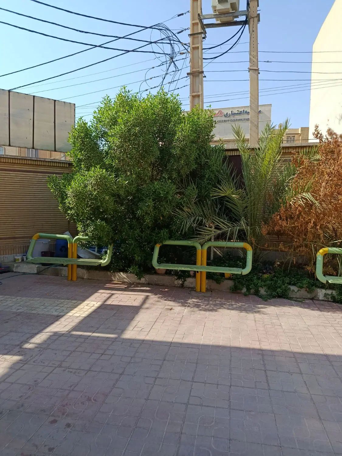 هرس تخصصی درختان و طراحی فضای سبز مدارس و ادارات|خدمات باغبانی و درختکاری|دزفول, |دیوار