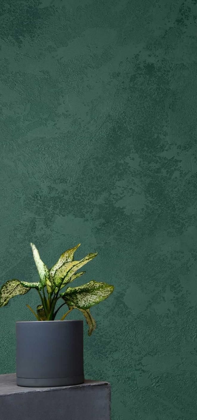 نقاشی ساختمان ،کاغذدیواری، میکروسمنت،پتینه|خدمات پیشه و مهارت|یزد, |دیوار