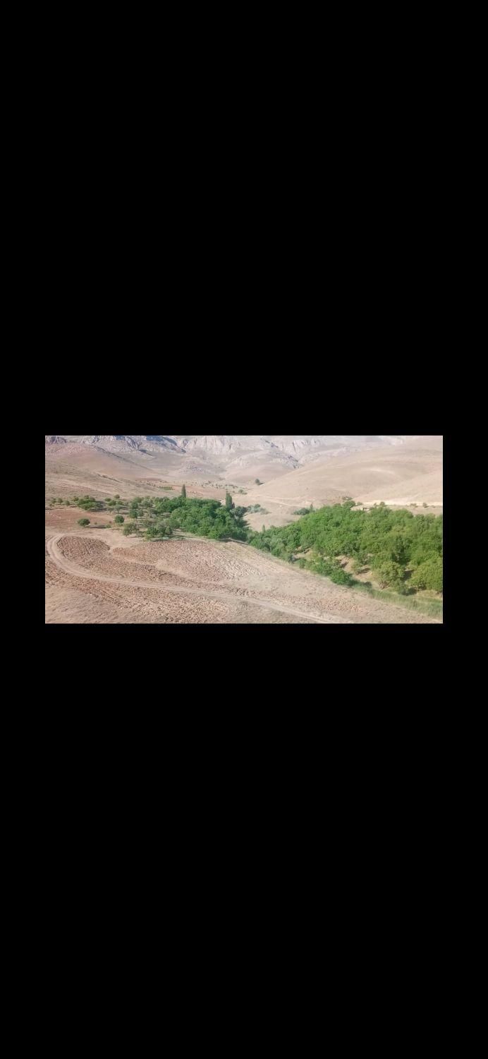 تاکستان سینک باغ وزراعی با موقعیتی بی همتا|فروش دفتر صنعتی، کشاورزی، تجاری|شال, |دیوار
