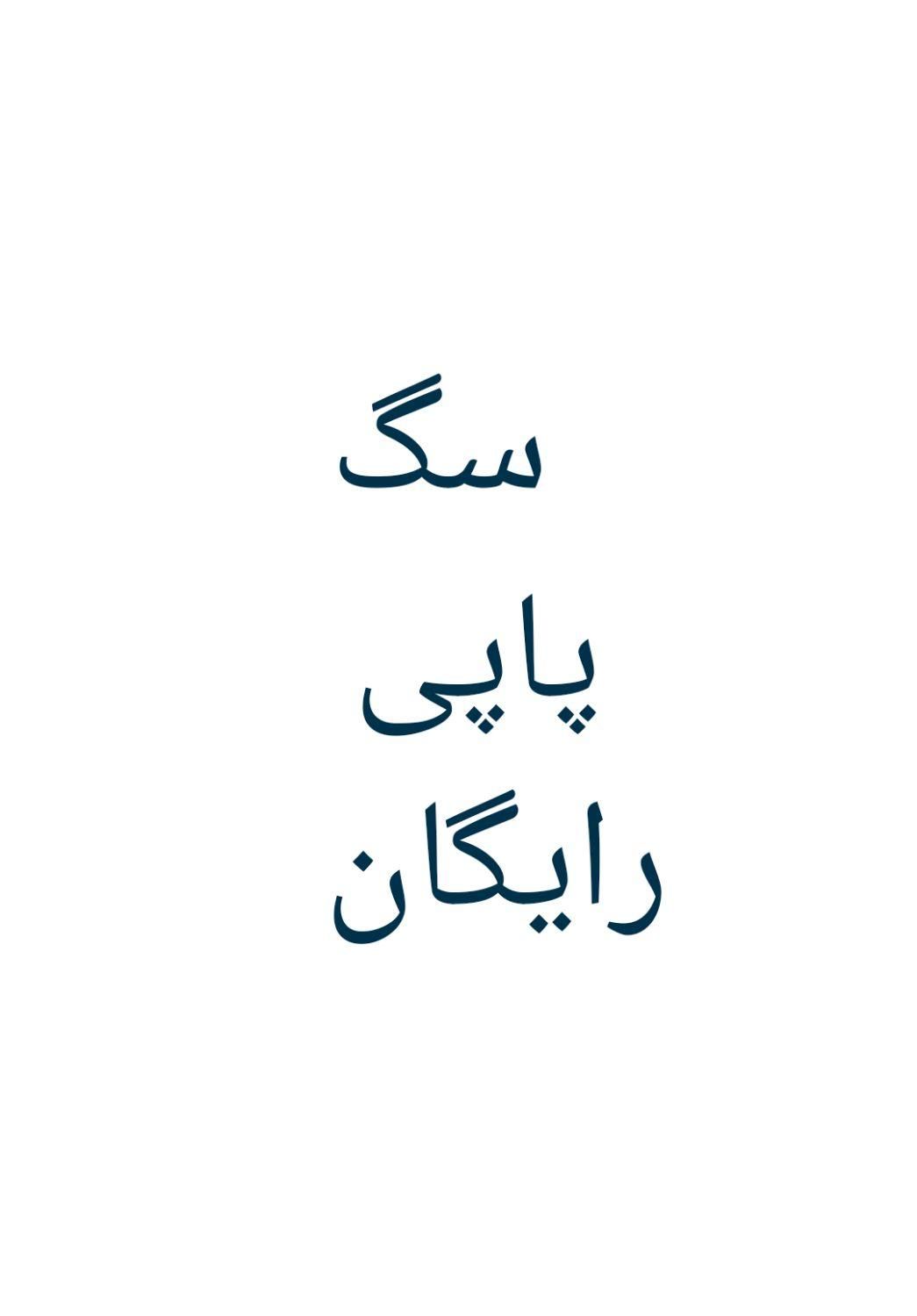 واگذاری سگ پاپی پیدا شده|حیوانات|شهرکرد, |دیوار