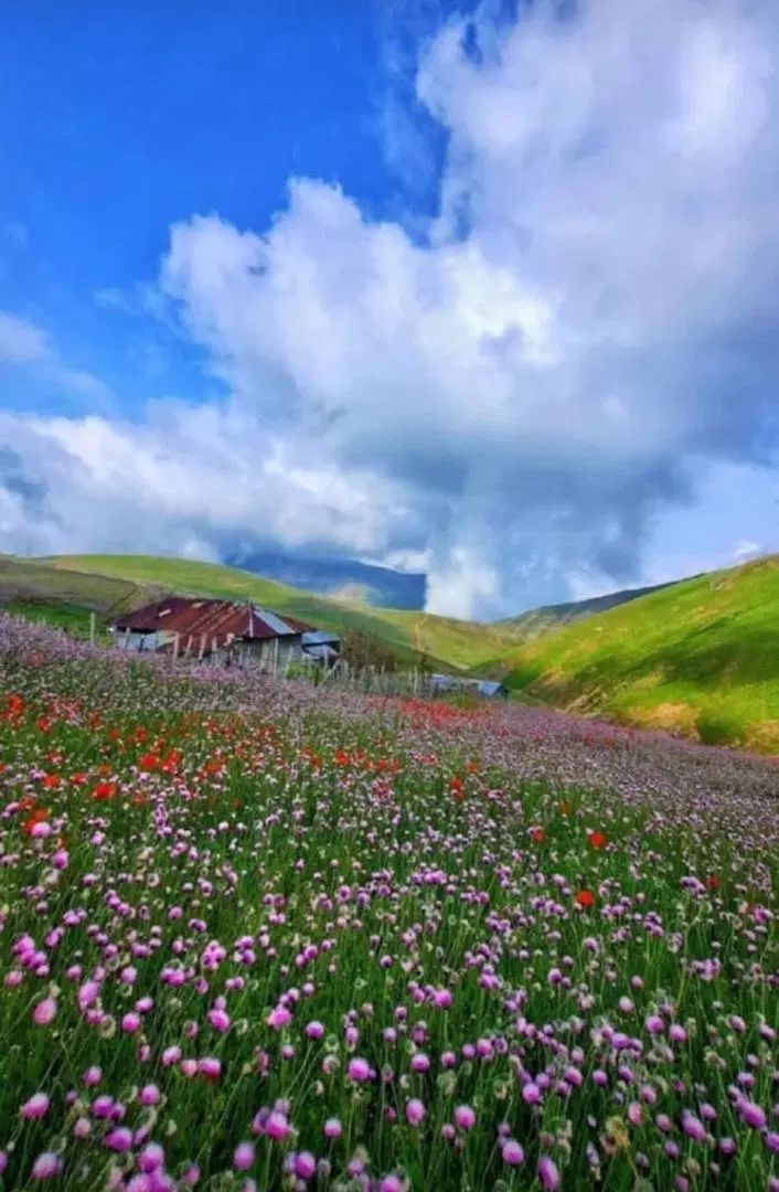 راهنمایی|فعالیت داوطلبانه|تهران, دروس|دیوار