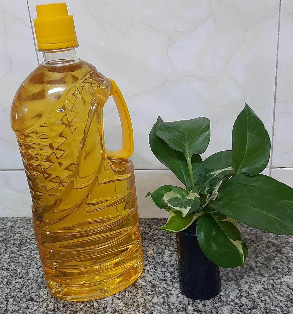 روغن طبیعی و ارگانیک|خوردنی و آشامیدنی|یزد, |دیوار