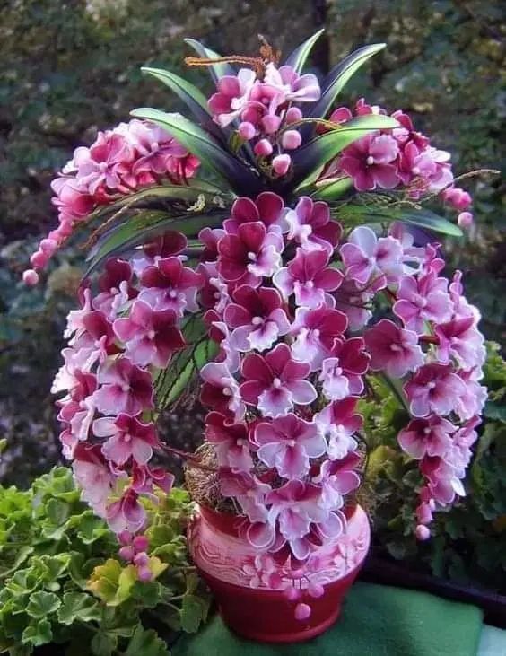 سلام همشهریان حرس کاری انگورودرختان میوه|خدمات باغبانی و درختکاری|نیشابور, شهرک زرگران|دیوار
