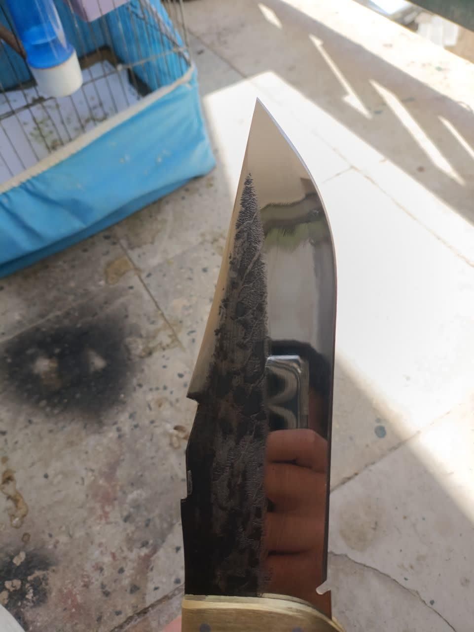 چاقو کوهنوردی|کوهنوردی و کمپینگ|زنجان, |دیوار