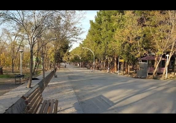 دعوت به تشکیل گروه ورزش صبحگاهی در پارک بانوان|رویداد ورزشی|مشهد, شهرک ابوذر|دیوار