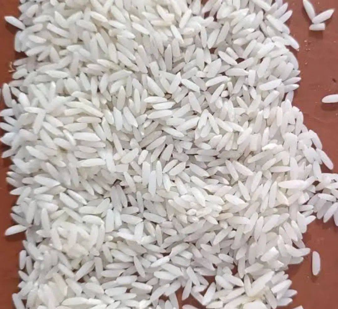 ۵۰ کیلو برنج علی کاظمی اعلا و درجه یک لاهیجان|خوردنی و آشامیدنی|کرج, پیشاهنگی|دیوار