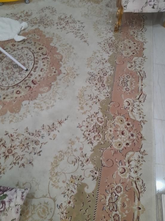 فرش ۹متری رنگ روشن کاملا سالم درحدنو|فرش|رشت, دیانتی|دیوار