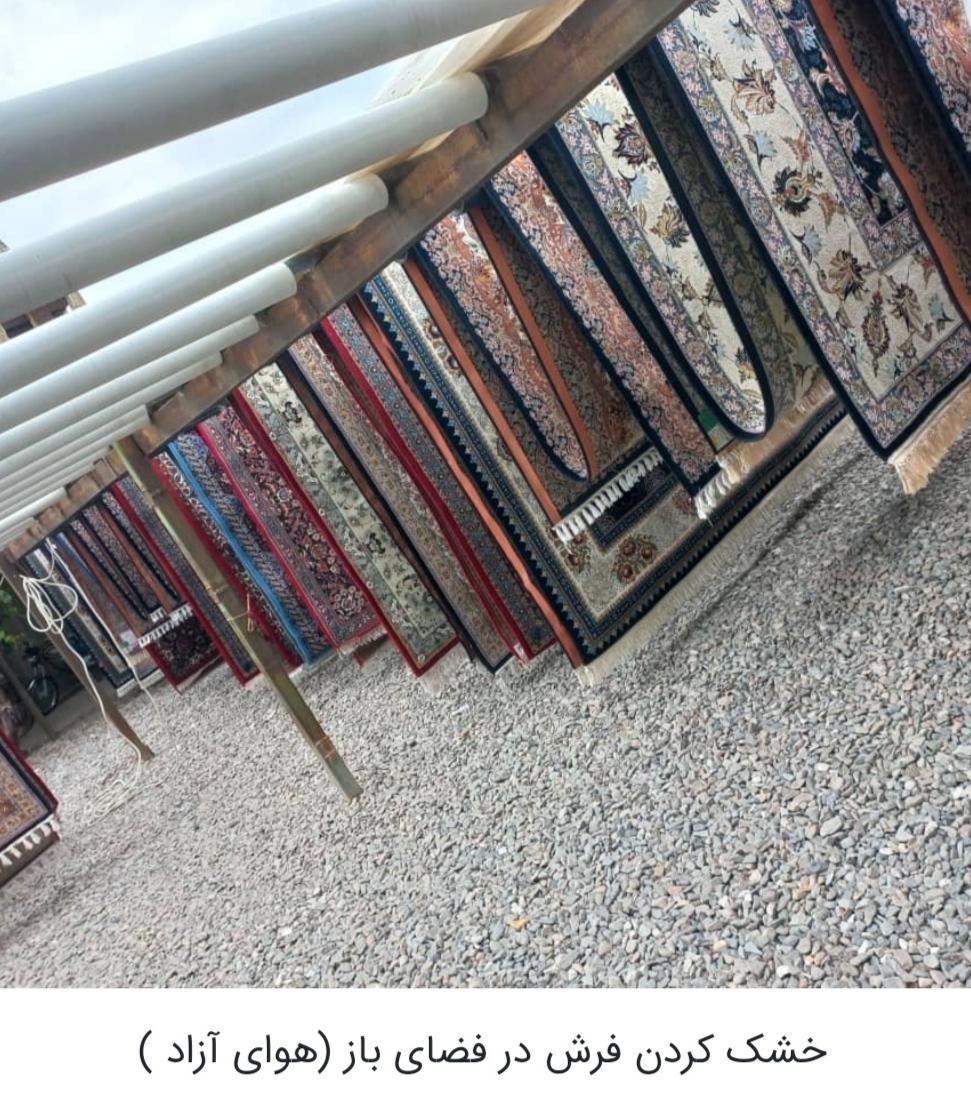 قالیشویی نگین زاهدان|خدمات نظافت|زاهدان, |دیوار