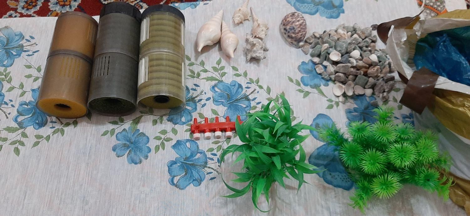 لوازم آکواریوم|ماهی|سوسنگرد, |دیوار