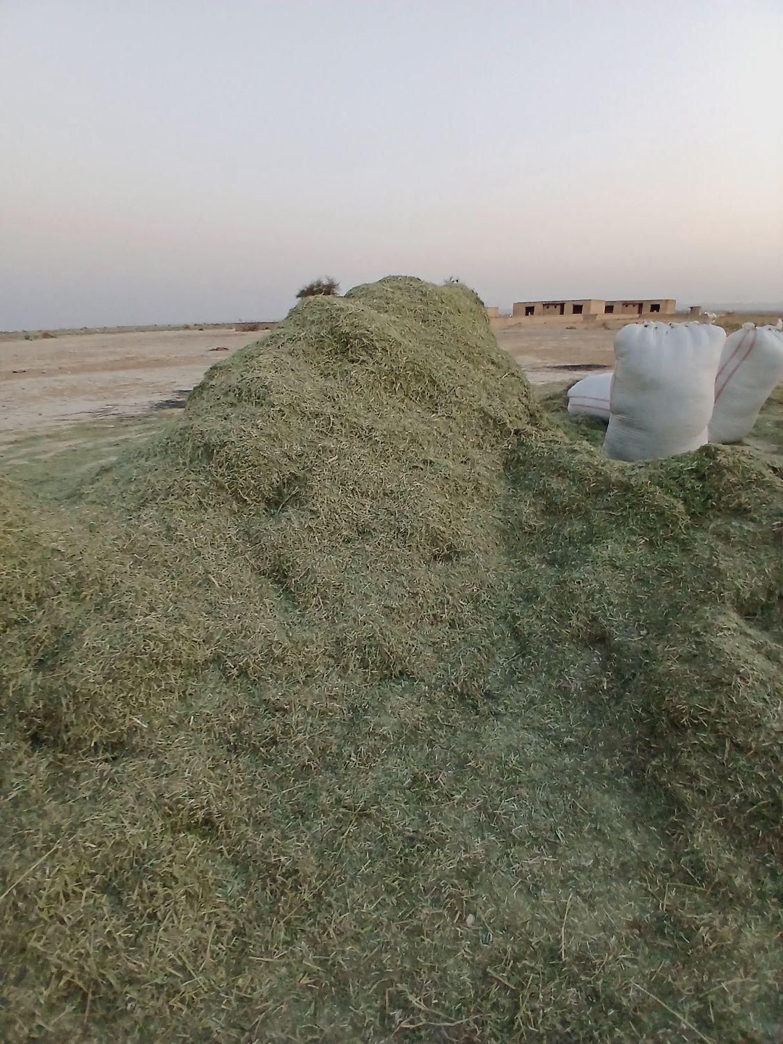یونجه درجه یک|خدمات باغبانی و درختکاری|اصفهان, خواجو|دیوار