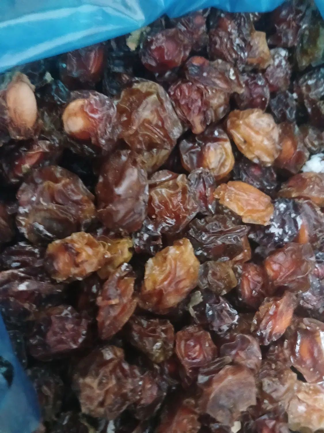 الوچه خشک وتمیز|خوردنی و آشامیدنی|مشهد, هفت تیر (نه دره)|دیوار