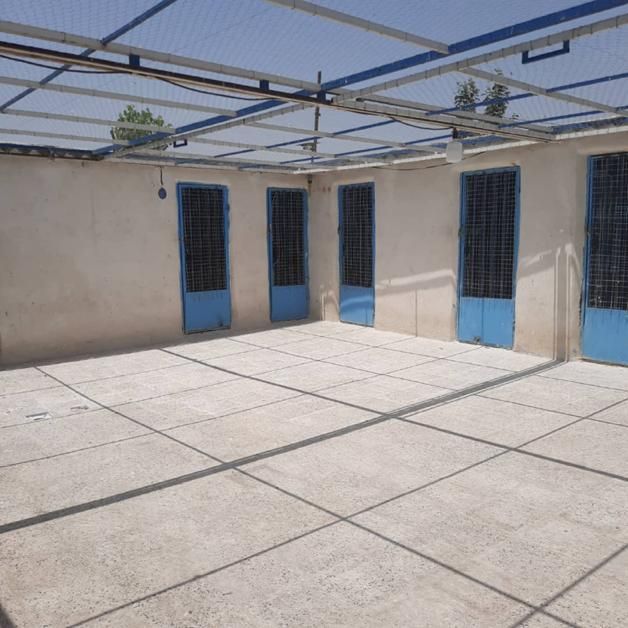 ۵۰۰ متر چهاردیواری با سوله وکانکس سوپر مارکت|فروش دفتر صنعتی، کشاورزی، تجاری|ری, شهرک نظامی|دیوار