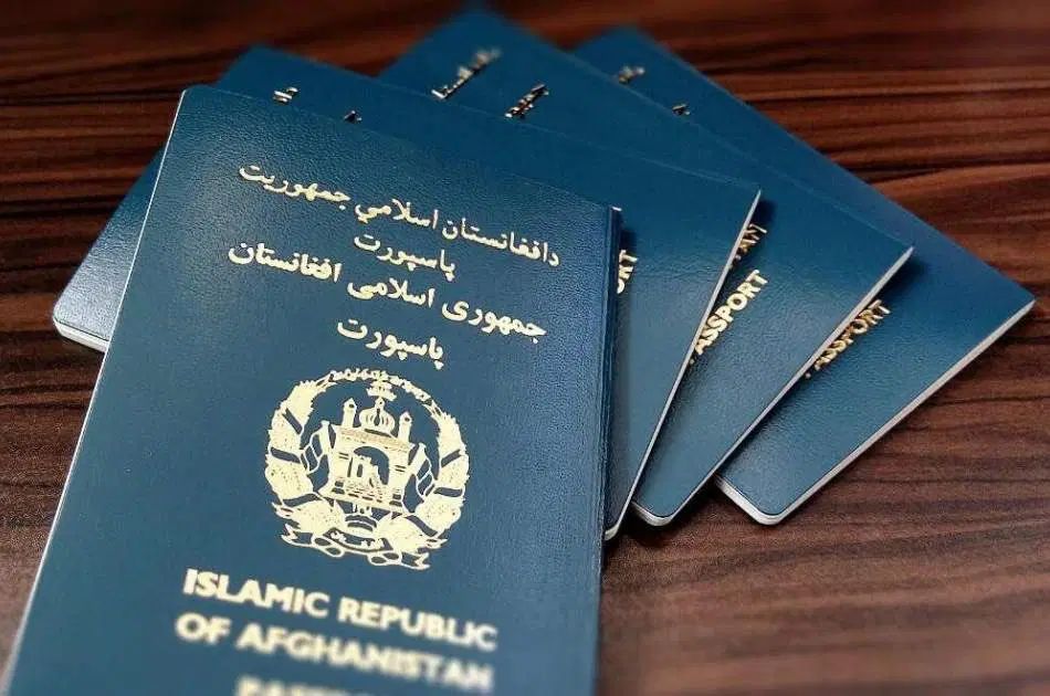 ویزای ترکیه و صربستان اتباع افغان|خدمات حمل و نقل|تهران, سهروردی|دیوار