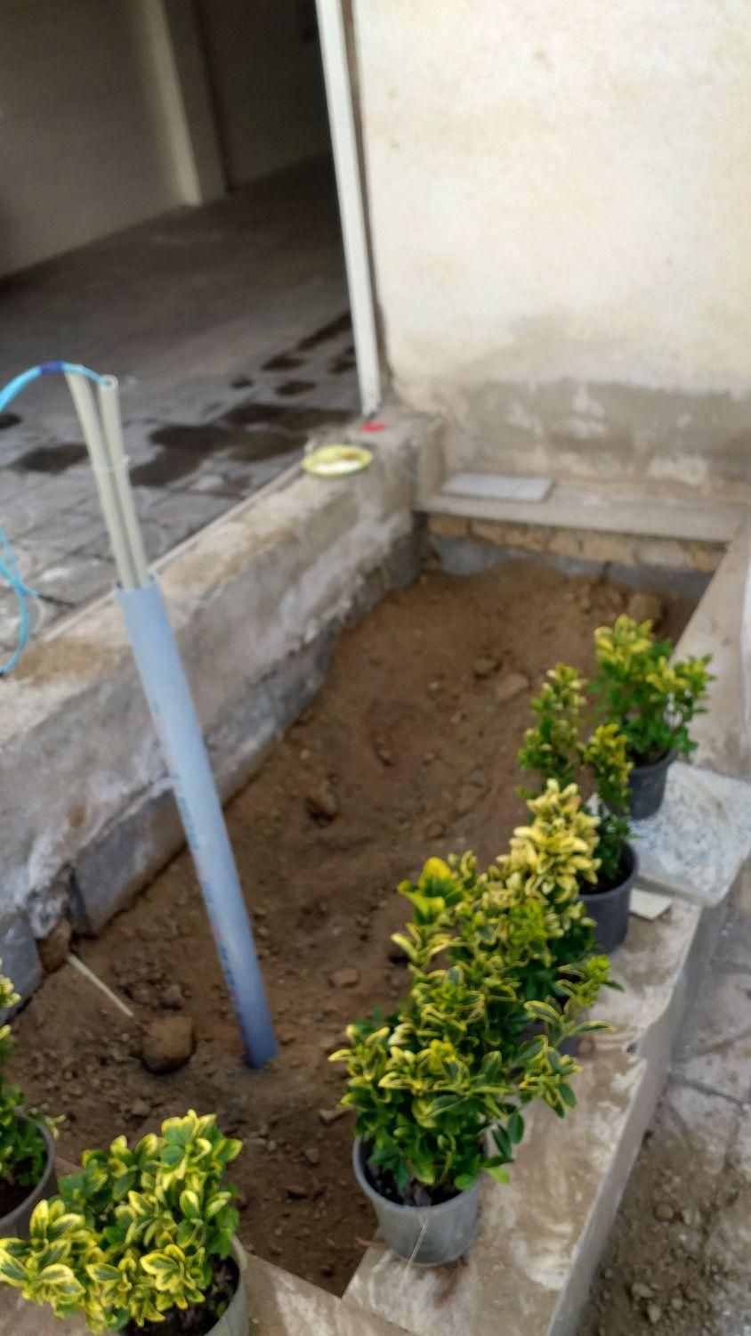 چمنکاری.کوددهی هرس گلکاری جابجای بیل زدن|خدمات باغبانی و درختکاری|پردیس, فاز ۱۱|دیوار