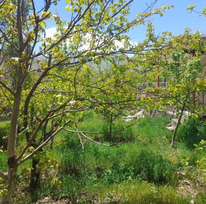 باغ بر جاده ورزقان|فروش دفتر صنعتی، کشاورزی، تجاری|خواجه, |دیوار