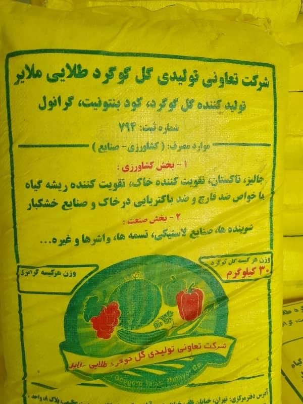 گل گوگرد طلایی ملایر|گل و گیاه طبیعی|ایلخچی, |دیوار