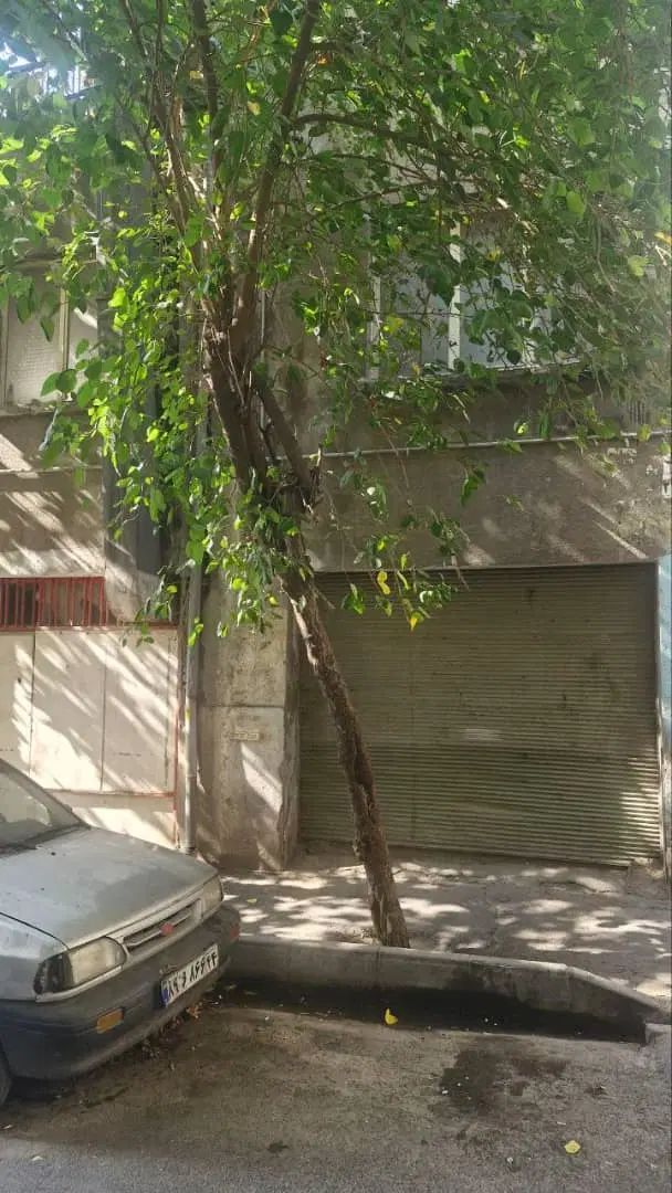 ۶۰متری کلنگی|فروش زمین و ملک کلنگی|تهران, کرمان|دیوار