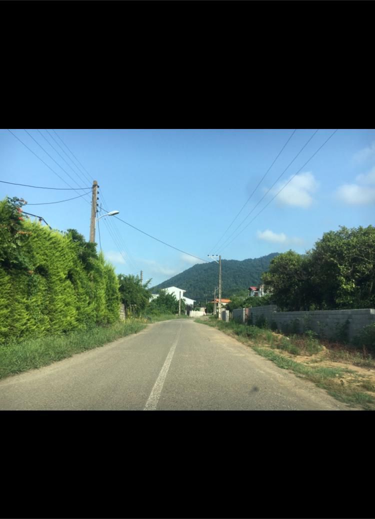 فروش زمین جنگلی باسند تک برگ|فروش زمین و ملک کلنگی|چابکسر, |دیوار