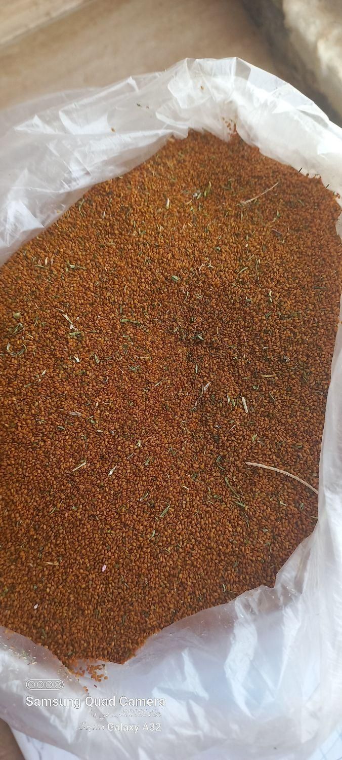 خاکشیر ۲۰۰۰۰۰ هزار چرخ گوشت دستی قدیمی|حراج|اسفراین, |دیوار