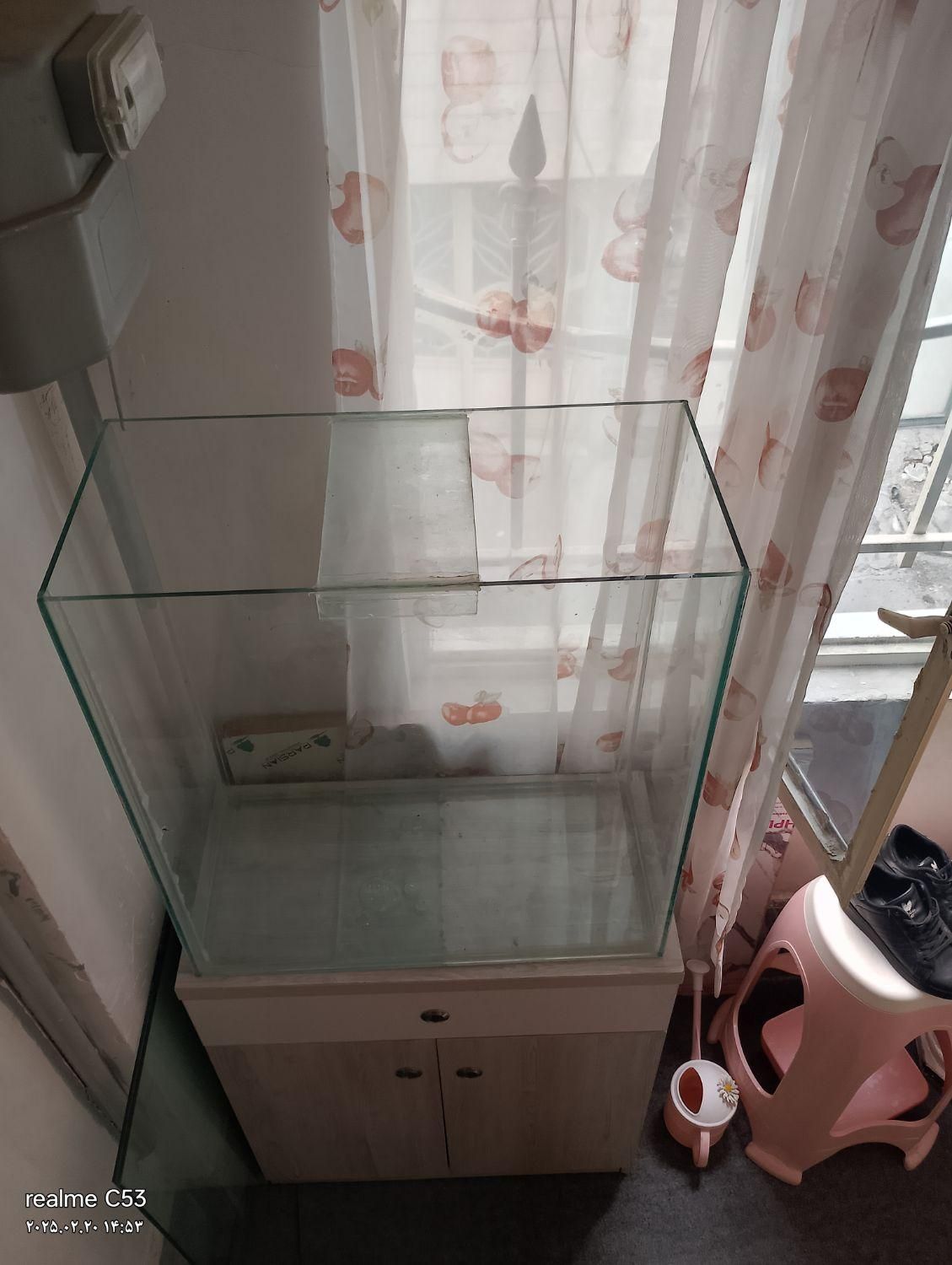 آکواریوم|ماهی|قدس, شهر‌قدس|دیوار