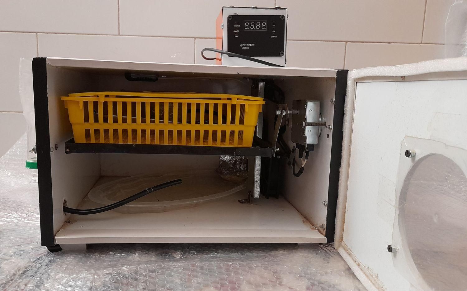 دستگاه جوجه کشی|لوازم جانبی حیوانات|سیرجان, |دیوار