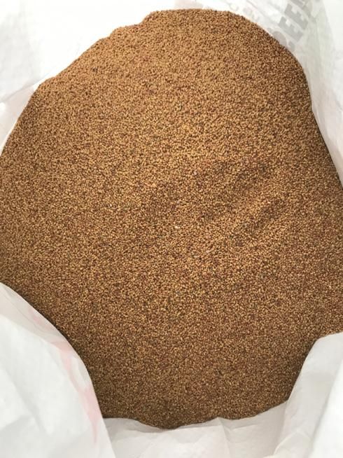 بذرشلغم کیهان، یونجه بغدادی درجه یک پاکتی|گل و گیاه طبیعی|دزفول, |دیوار