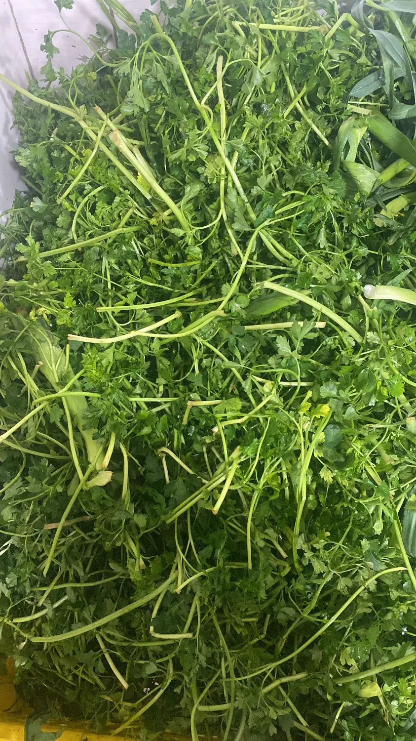 سبزی خرد شده|خوردنی و آشامیدنی|تهران, هفده شهریور|دیوار