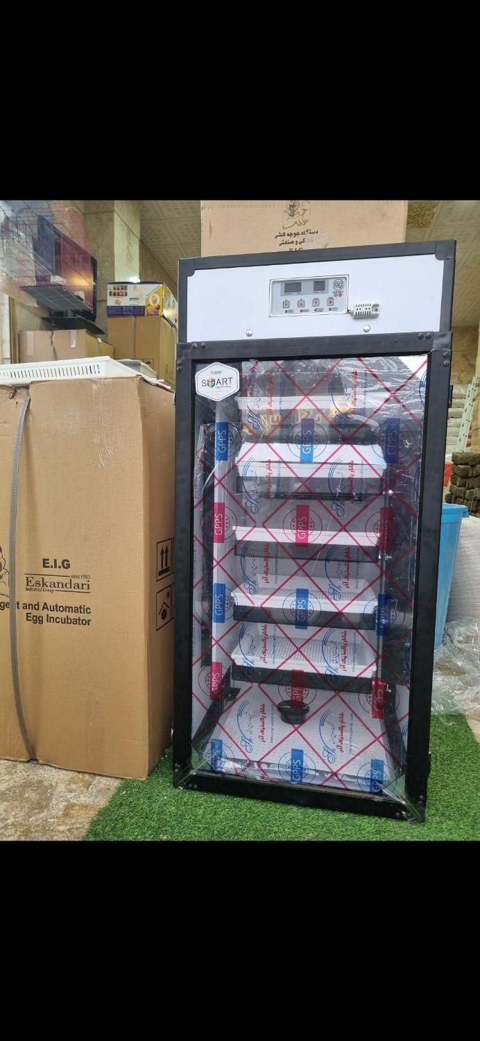 نمایندگی دستگاه جوجه کشی اسکندری در گیلان|لوازم جانبی حیوانات|رشت, لاکان|دیوار