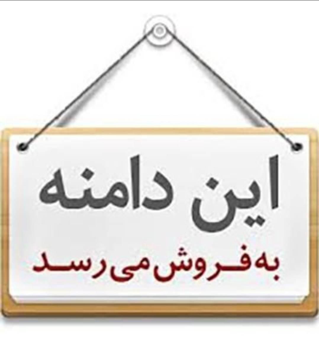 فروش دامین|قطعات و لوازم جانبی رایانه|تهران, سوهانک|دیوار