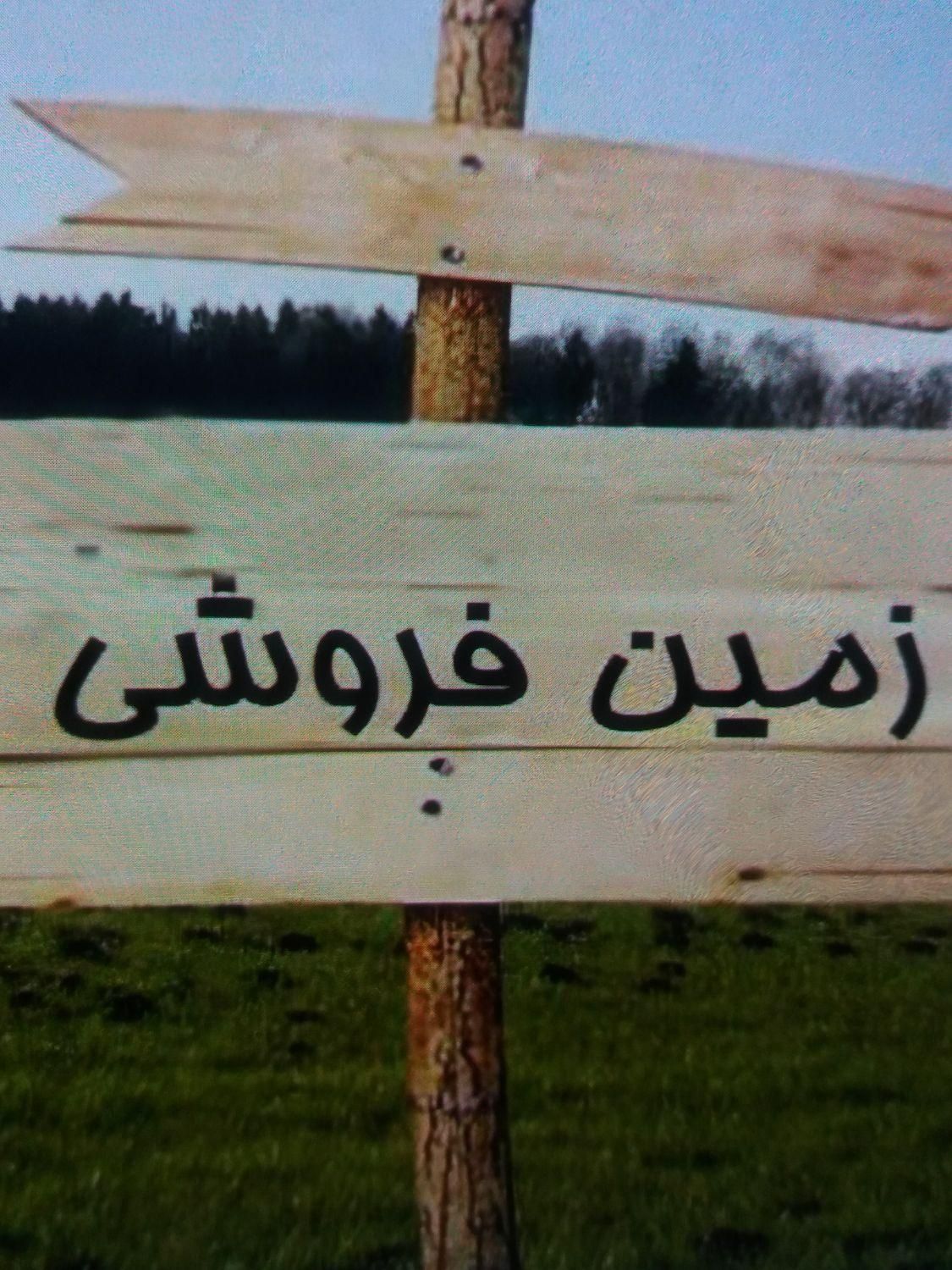 زمین فروشی پردیس چناران|فروش زمین و ملک کلنگی|چناران, |دیوار