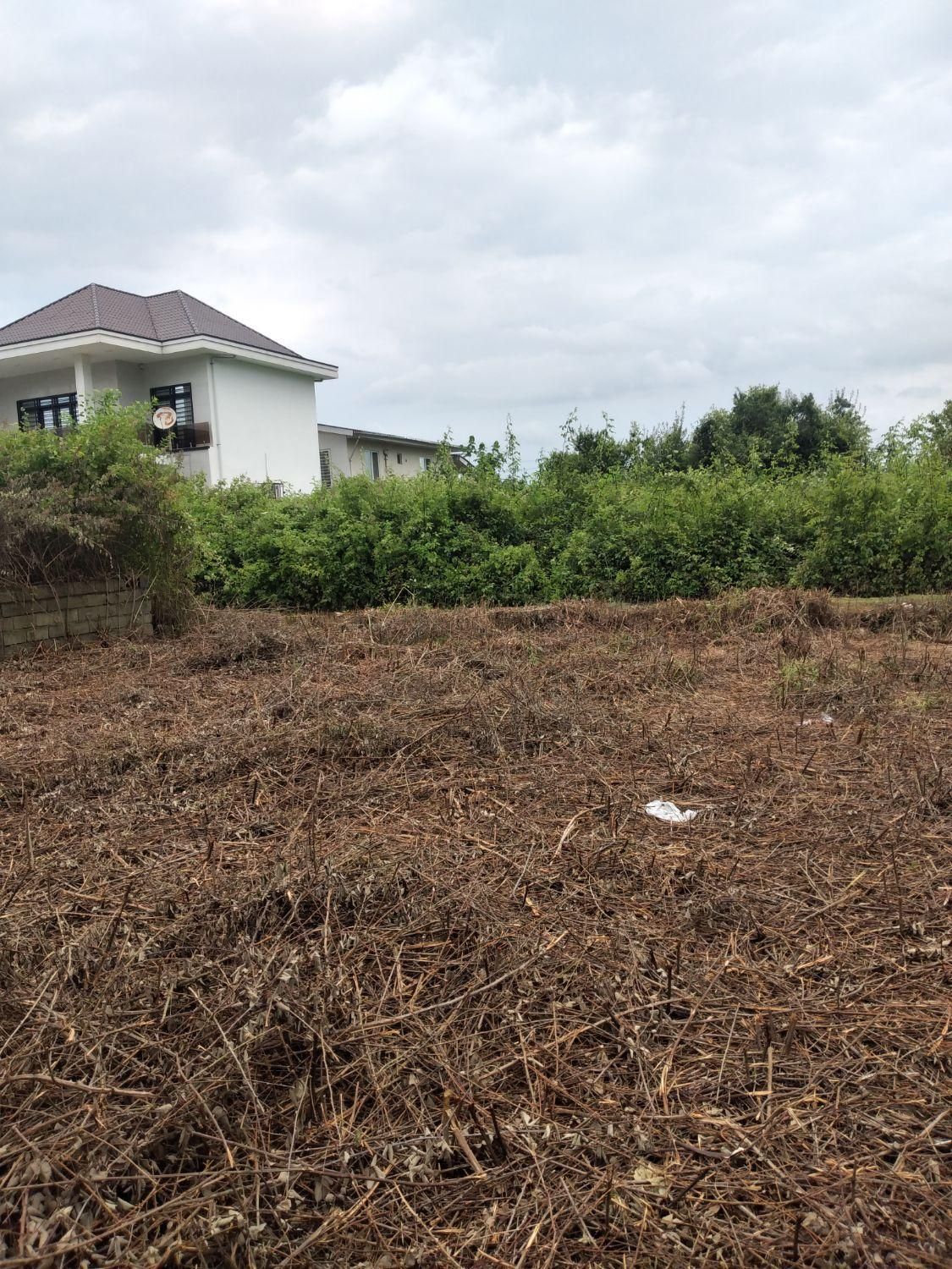 علفتراشی سمپاشی باغچه و نگهداری ویلاها|خدمات باغبانی و درختکاری|سلمان‌شهر, |دیوار