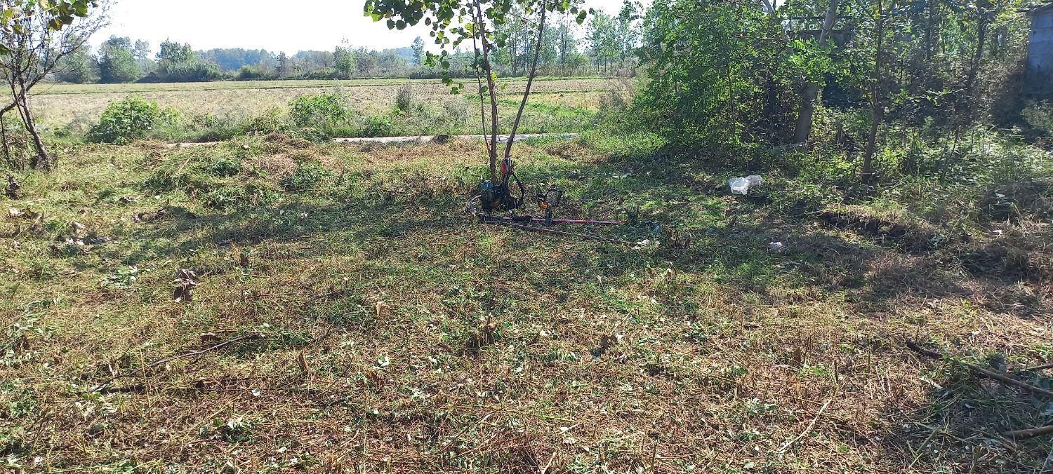 چمن زنی وبریدن علفهای هرز|خدمات باغبانی و درختکاری|آستانه اشرفیه, |دیوار