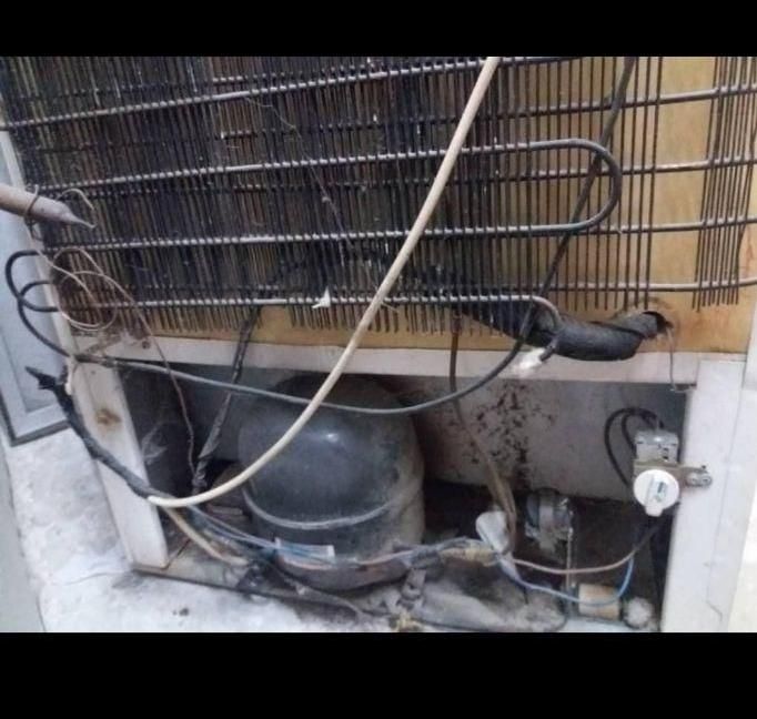 یخچال های سالم و فرسوده و موتور سوخته از همه نوع|یخچال و فریزر|لاهیجان, شیخ زاهد|دیوار