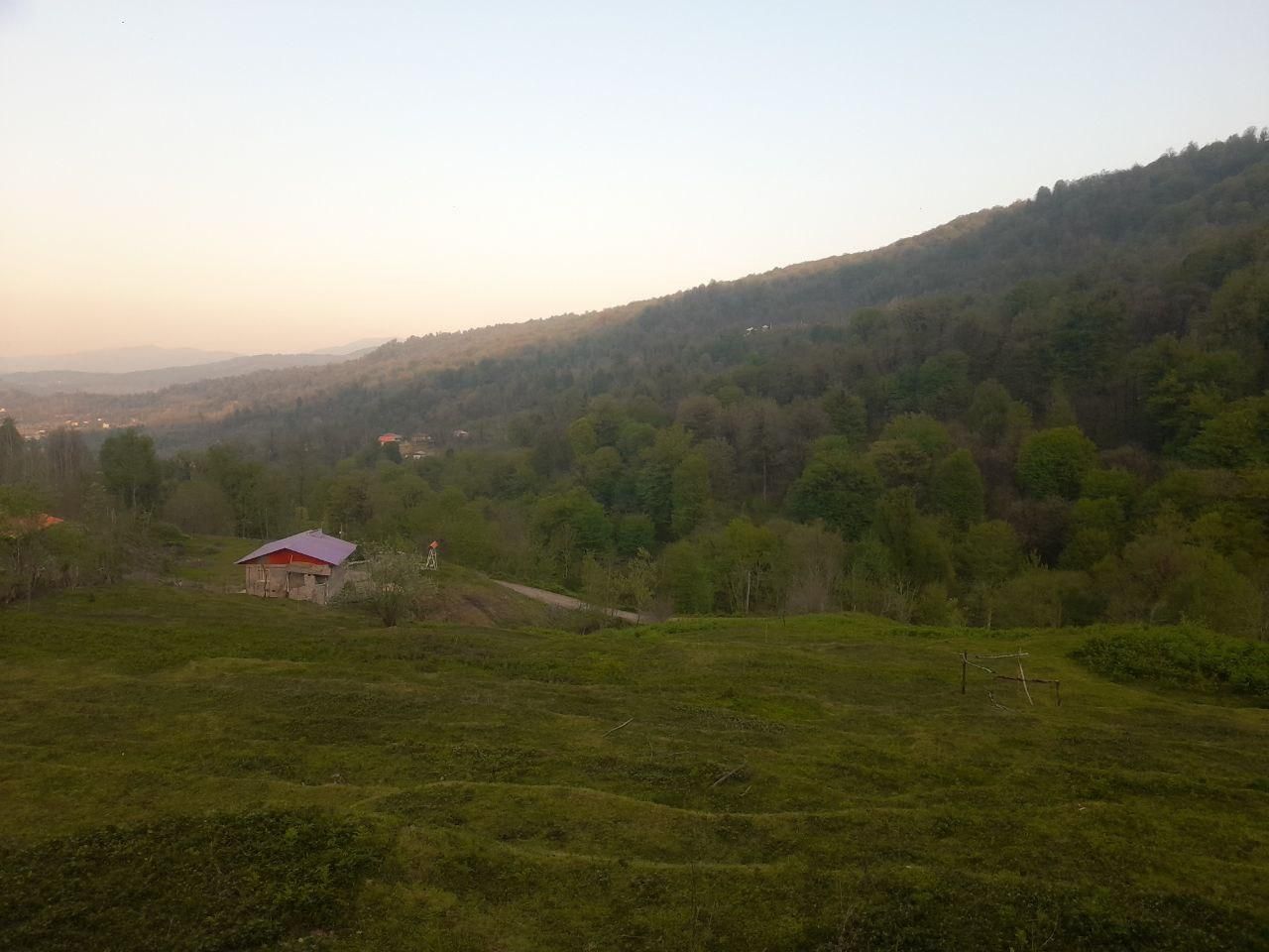 فروش زمین ۱۴۶۹ متری|فروش زمین و ملک کلنگی|رشت, بازار|دیوار