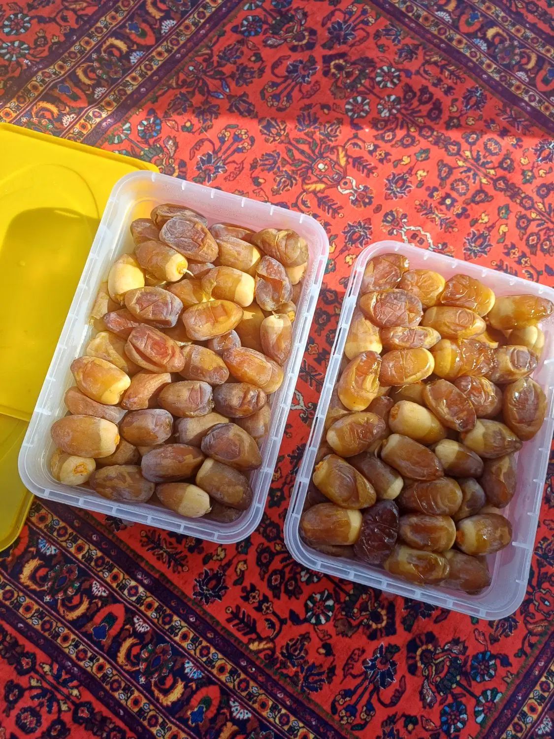 رطب عسلی جنوب|خوردنی و آشامیدنی|رشت, بلوار گیلان|دیوار