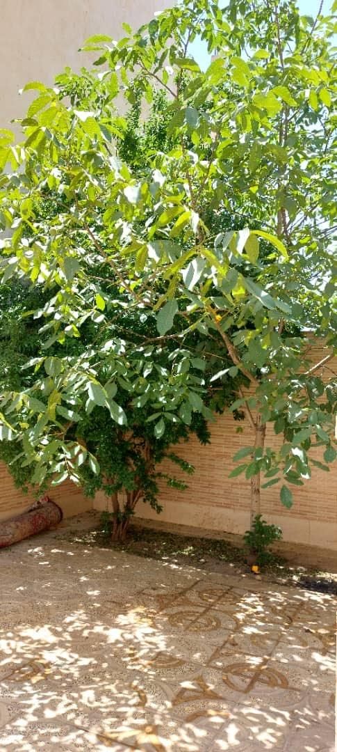 همکف حیاط دار|فروش آپارتمان|شاهین‌شهر, گرگاب|دیوار