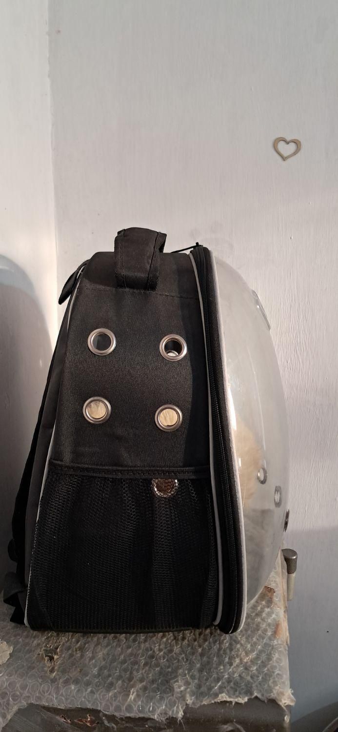 کیف حیوانات در حد نو|لوازم جانبی حیوانات|حویق, |دیوار