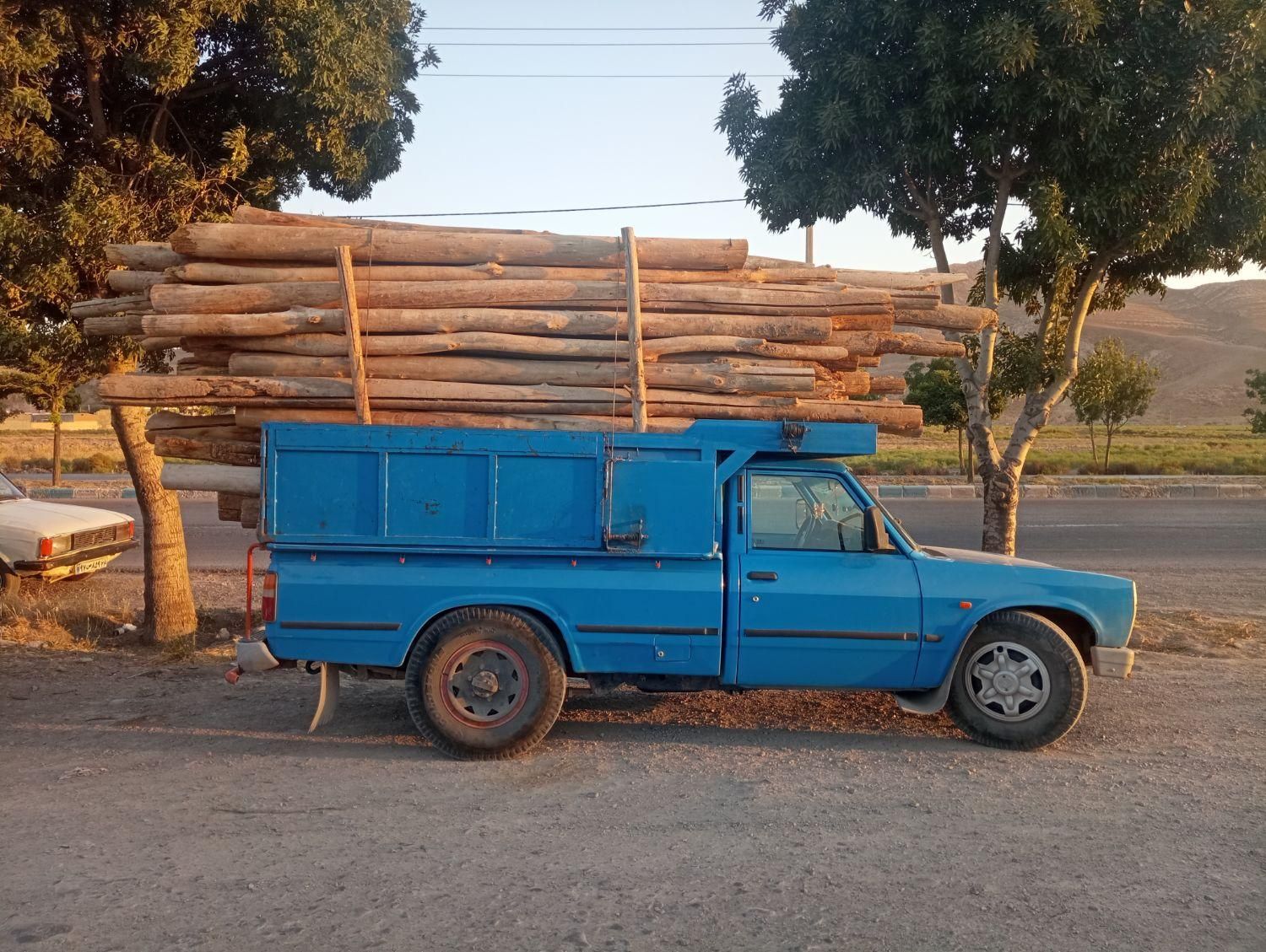 خریدار چوب به صورت نقدی در باسکول|خدمات باغبانی و درختکاری|شیروان (خراسان), |دیوار