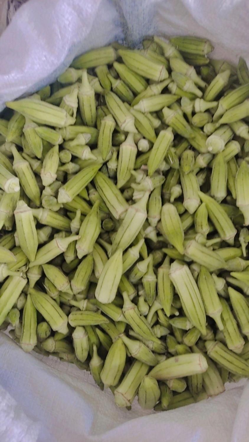 بامیه (طلای سبز)|خوردنی و آشامیدنی|حمیدیه, |دیوار