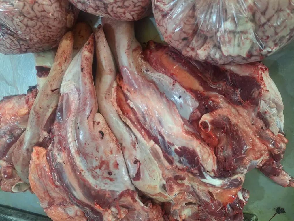 گوشت صورت کله زبان مغز گوساله|خوردنی و آشامیدنی|تهران, نظامی گنجوی (توانیر)|دیوار