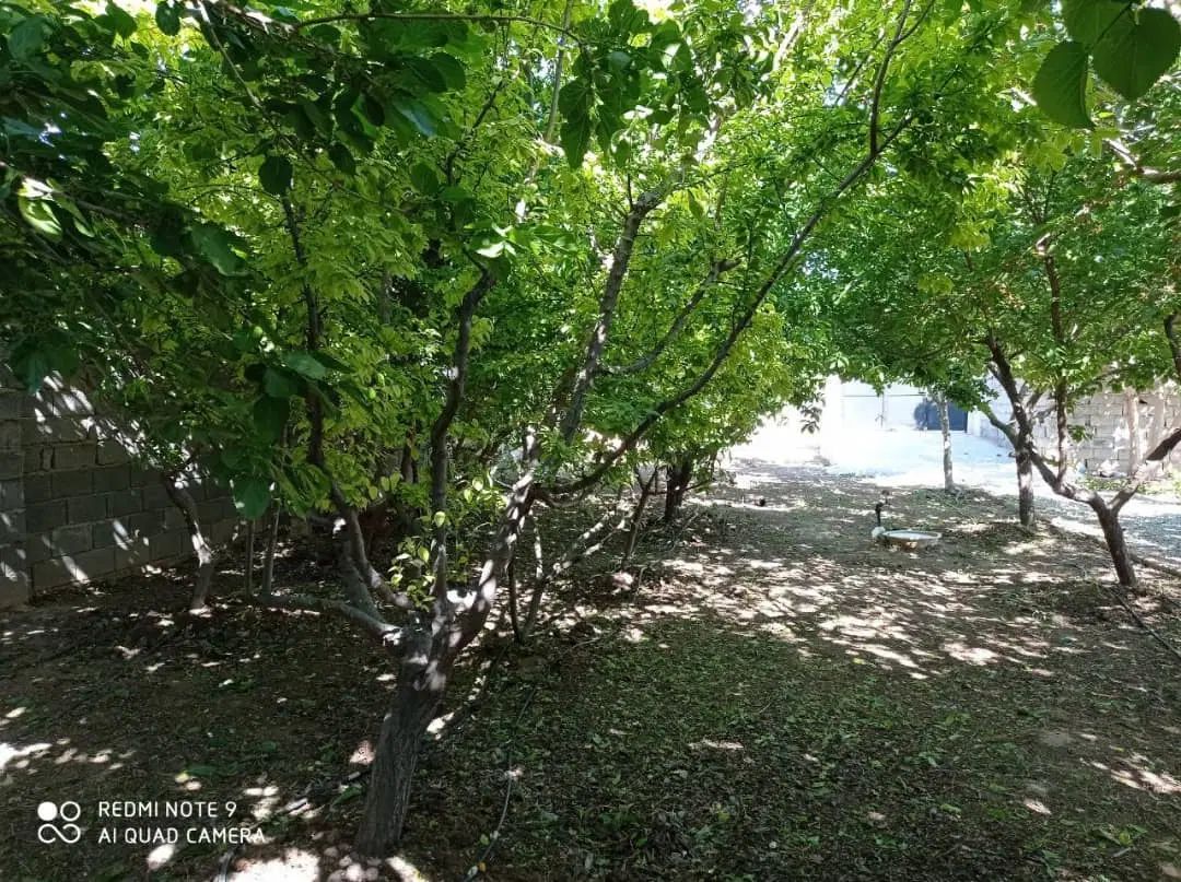 اجاره همکف ۶۰متری حیاط دار جای پارک|اجارهٔ آپارتمان|کرج, چهارصد دستگاه|دیوار