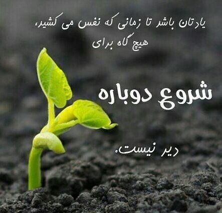 تر.ک اعتیا.د|فعالیت داوطلبانه|بروجن, |دیوار