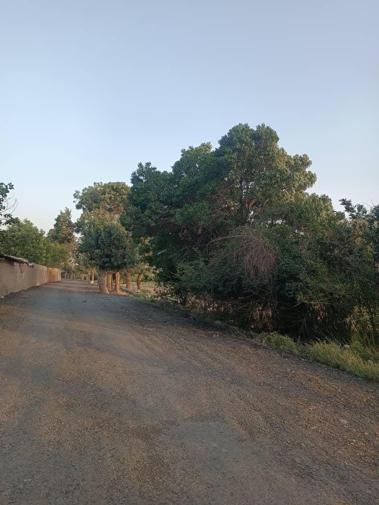 فروش زمین ۳۰۰ متری در روستای پلایین|فروش زمین و ملک کلنگی|تهران, کریم‌آباد|دیوار