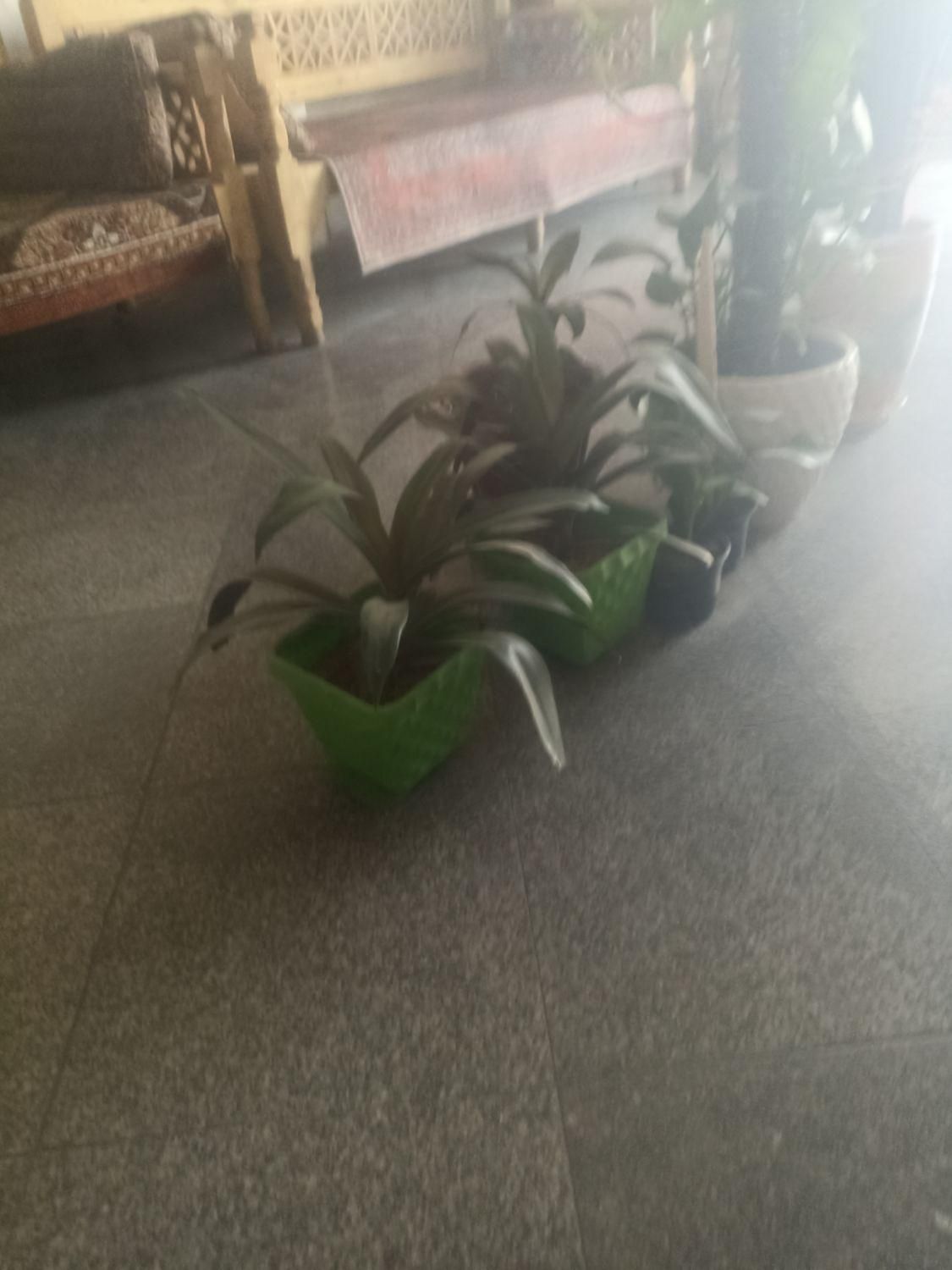 09124064044|سیم‌کارت|تهران, آشتیانی|دیوار