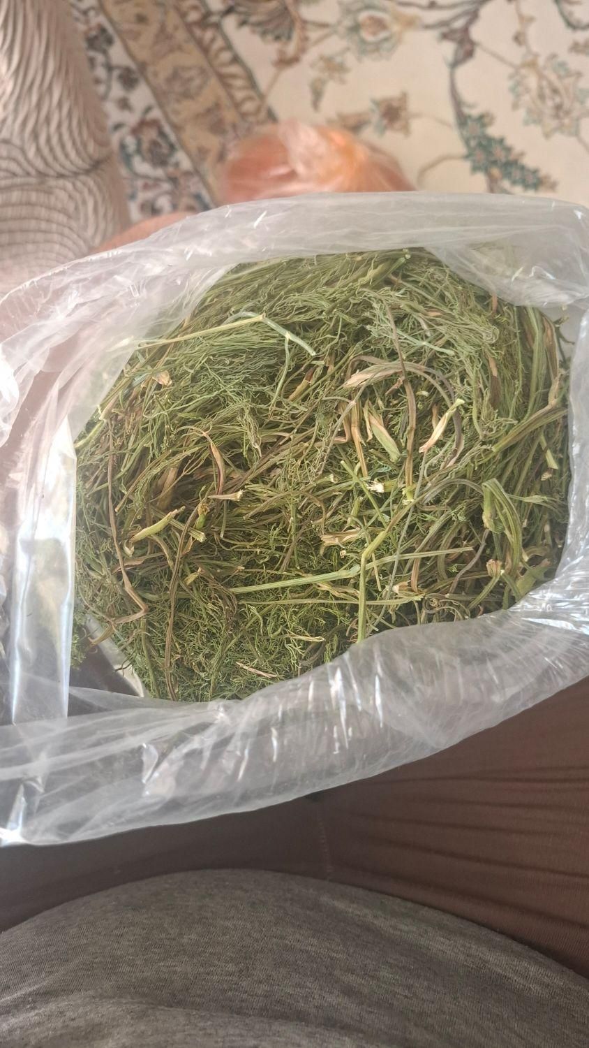 شوید خشک ممتاز خانگی با عطر و طعم طبیعی|خوردنی و آشامیدنی|اصفهان, باغ نگاره|دیوار
