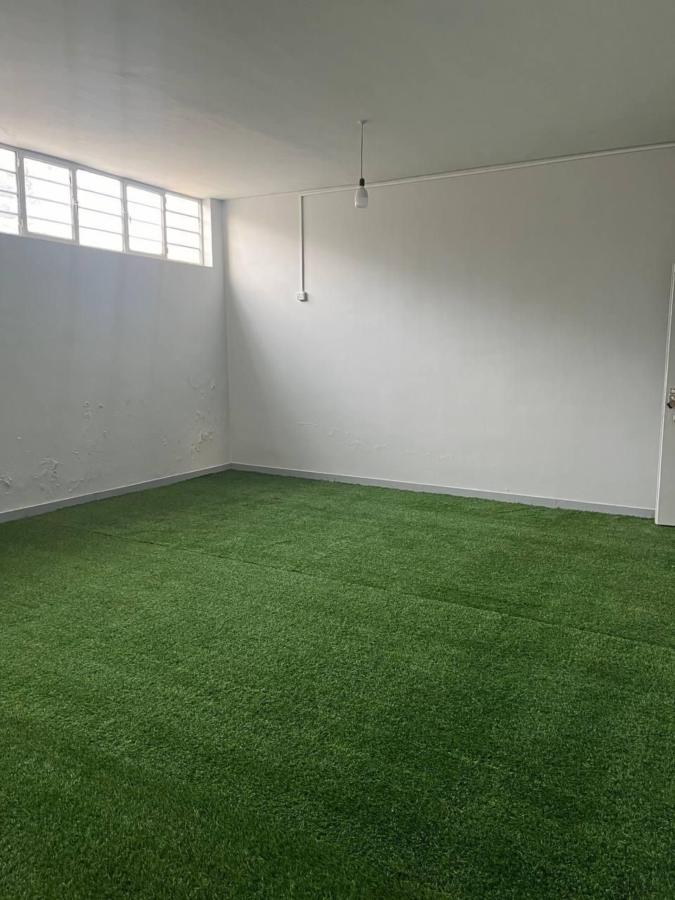 پخش چمن مصنوعی و فنس چمنی|خدمات پیشه و مهارت|بهبهان, |دیوار