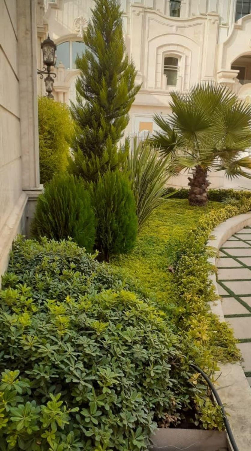 خدمات باغبانی گلکاری چمن کاری باغچه کاری|خدمات باغبانی و درختکاری|شهریار, |دیوار