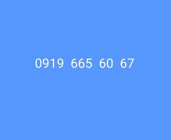 سیم کارت  919|سیم‌کارت|تهران, هفت حوض|دیوار