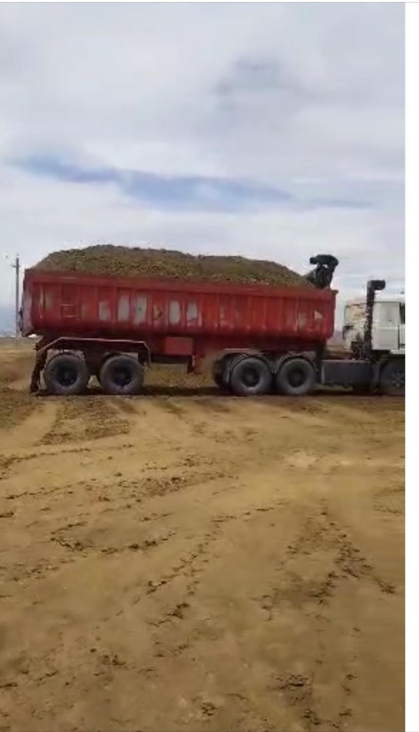 فروش کود گاوی ارسال به بم ، فهرج ، ریگان|عمدهفروشی|بم, |دیوار